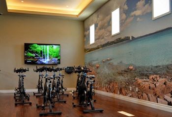 Cycle room at Avino in California 92130